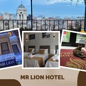 Mr Lion Kumkapi فندق